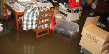 FEMA