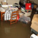 FEMA