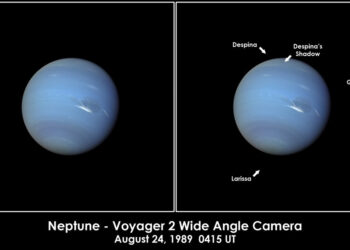 Planet Neptune