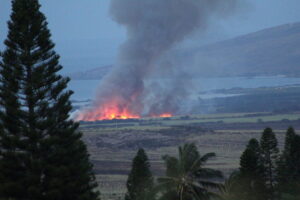Maui 