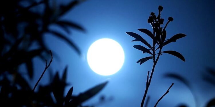 Blue Moon