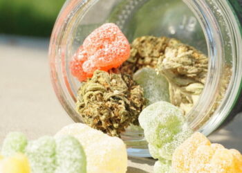 Cannabis