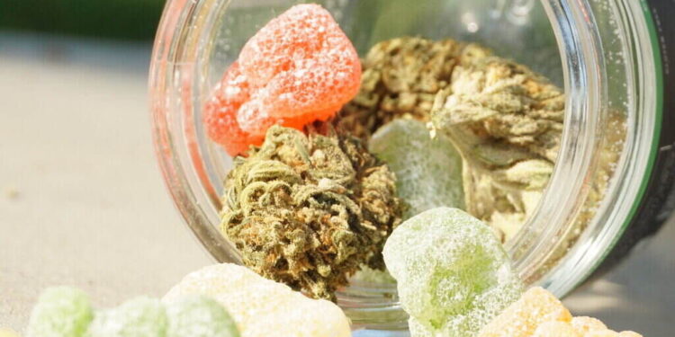 Cannabis