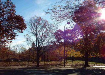 DC Reaches 200 Homicides, So Far