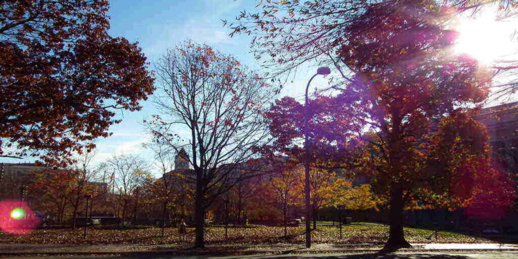 DC Reaches 200 Homicides, So Far