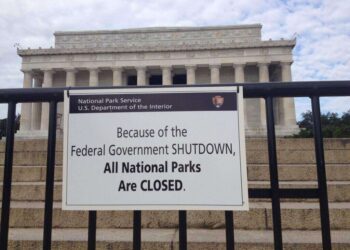 Government