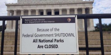 Government