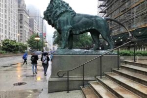 Museums in Chicago Reintroduce Fall Free Days Museum