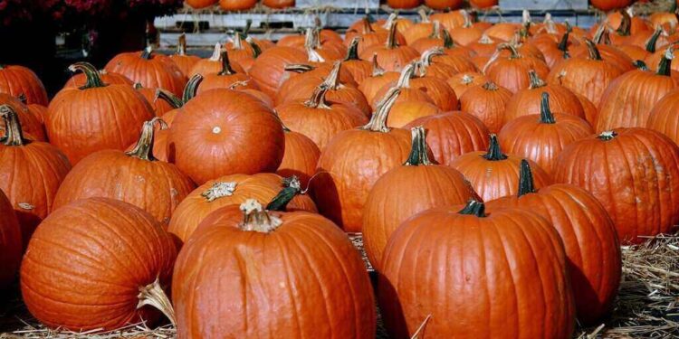 Fall