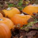 Pumpkins