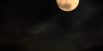 Moon