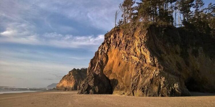 Oregon Man Is Arrested for Mass Shooting Plot