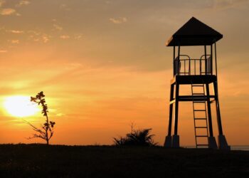 Chicago Park District