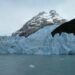 Antarctica Glacier