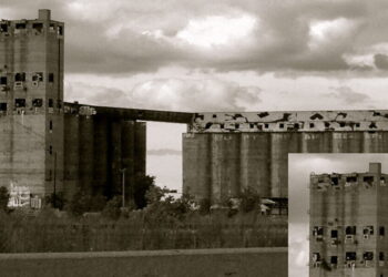 Damen Silos Is Revolutionary