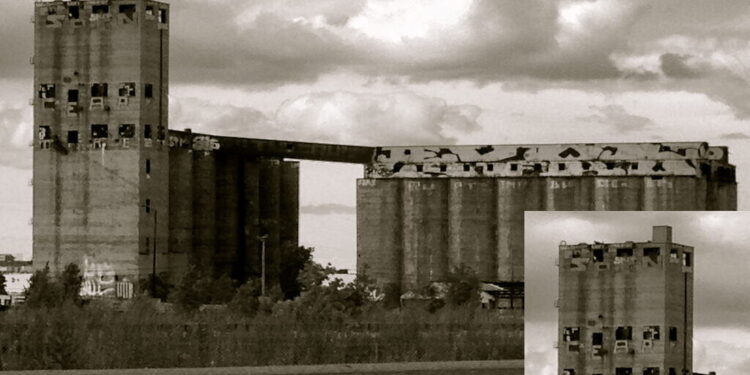 Damen Silos Is Revolutionary