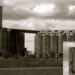 Damen Silos Is Revolutionary