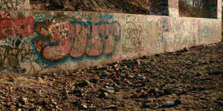 Gang