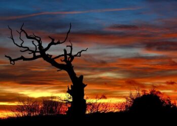 winter solstice