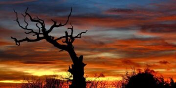 winter solstice