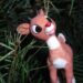 Rudolph