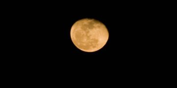 Broncos Defeat Vikings to Remain in Playoff Contention