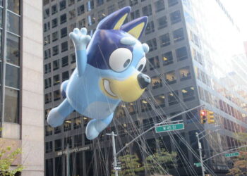 bluey