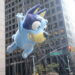 bluey