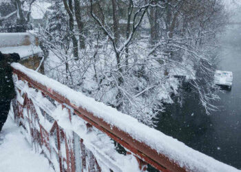 Freezing Temperatures