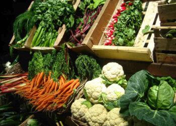 iron rich vegetables