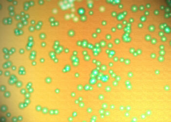 Measles