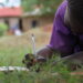 Community Education Disparities