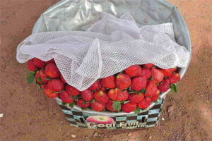 Burkina Faso