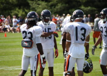 Bears