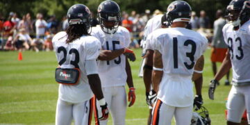 Bears