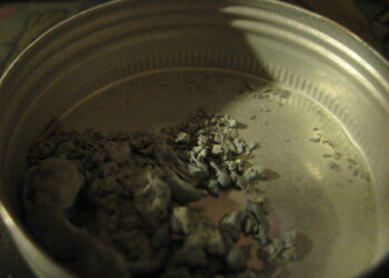 Lead Poisoning