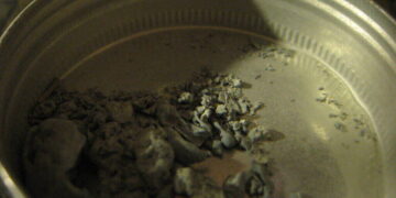 Lead Poisoning