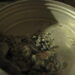 Lead Poisoning