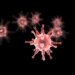 New Virus-Like Entity, Obelisks