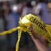 Ruby Franke Child Abuse Case