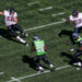 Chicago Bears