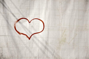 Heart 