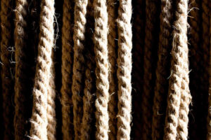 Campbellsville University Student Dies From Strangulation Campbellsville