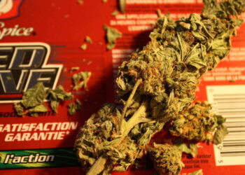 Marijuana Laws  Beginning to Change by the DEA