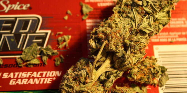 Marijuana Laws  Beginning to Change by the DEA