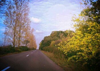 Road
