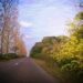 Road