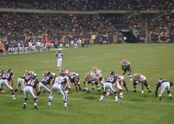 bears