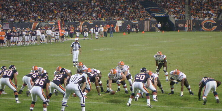 bears