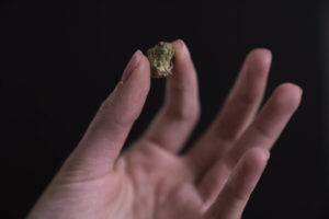 marijuana